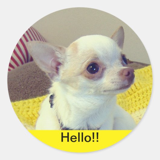 Chihuahua Puppy Runder Aufkleber (Vorderseite)