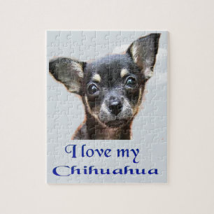 Chihuahua Puzzle