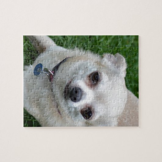 Chihuahua Puzzle (Horizontal)