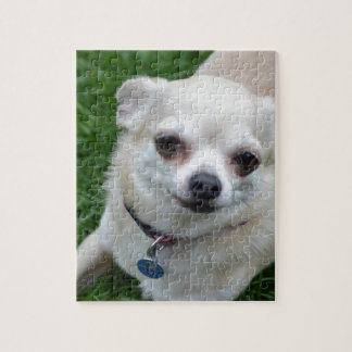 Chihuahua Puzzle