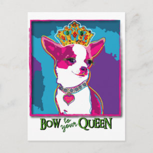 Chihuahua Queen Postkarte