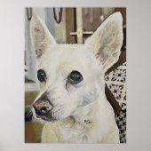 Chihuahua Rat Terrier Poster (Vorne)