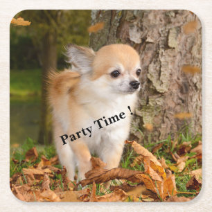 Chihuahua Rechteckiger Pappuntersetzer