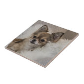 Chihuahua Relaxing Fliese (Seite)