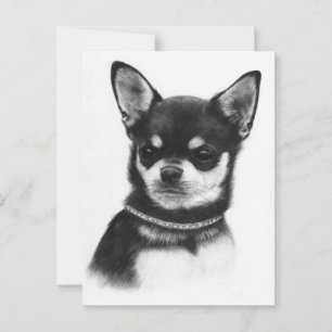 Chihuahua Royalty - Handgemalte Kunstwerke Postkarte