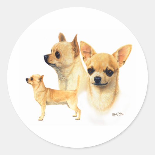 Chihuahua Runder Aufkleber (Vorderseite)