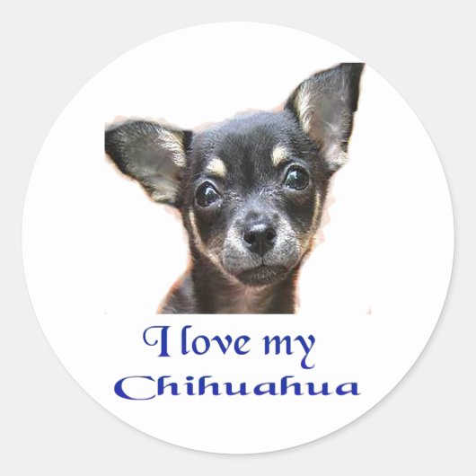 Chihuahua Runder Aufkleber (Vorderseite)