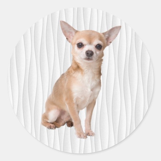 Chihuahua Runder Aufkleber (Vorderseite)