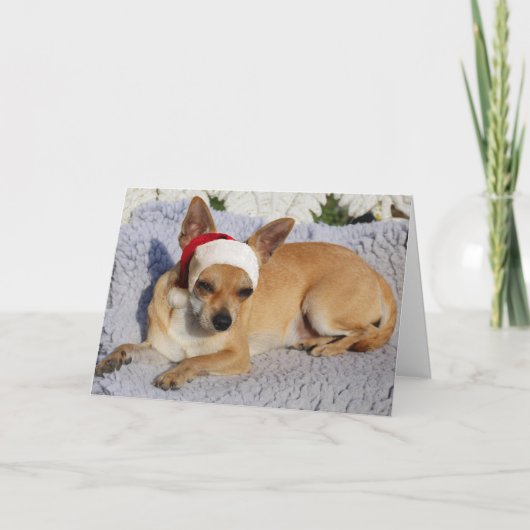 Chihuahua Santa Feiertagskarte (Vorderseite)