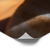 Chihuahua-schläfriger Squint entspanntes Zungenaus Poster (Ecke)