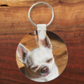 Chihuahua-schläfriger Squint entspanntes Zungenaus Schlüsselanhänger (Vorderseite)