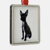 Chihuahua Silbernes Ornament (Rechts)