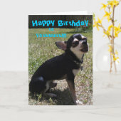 Chihuahua singt Happy Birthday! Karte (Gelbe Blume)