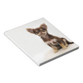 Chihuahua Small Dog Notizblock (angewinkelt)