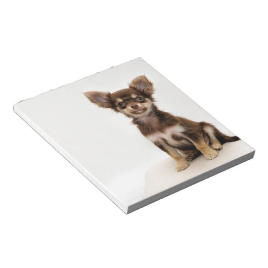 Chihuahua Small Dog Notizblock (angewinkelt)