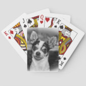 Chihuahua Spielkarten (Rückseite)