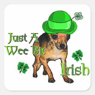 Chihuahua St Patrick's Day Quadratischer Aufkleber