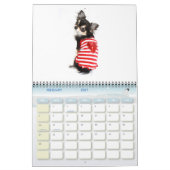 Chihuahua-Störung 2011 - Kalender (Feb 2027)