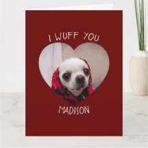 Chihuahua süß wuff du liebst Valentinsherz Foto