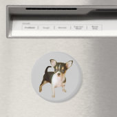 Chihuahua Süsse Magnet (In Situ (Geschirrspüler))