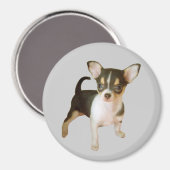 Chihuahua Süsse Magnet (Vorderseite/Rückseite)