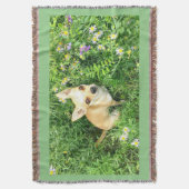 Chihuahua Tapestry "sage grün" werfen. Decke (Vorderseite Vertikal)