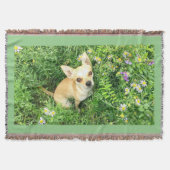 Chihuahua Tapestry "sage grün" werfen. Decke (Vorderseite)