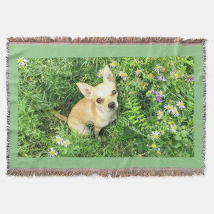Chihuahua Tapestry "sage grün" werfen. Decke