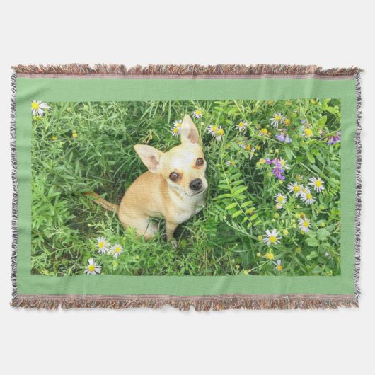 Chihuahua Tapestry "sage grün" werfen. Decke (Vorderseite)