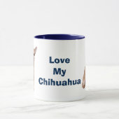 Chihuahua Tasse (Zentrum)