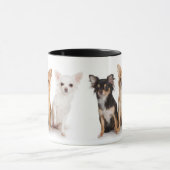 Chihuahua-Tasse Tasse (Zentrum)