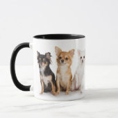 Chihuahua-Tasse Tasse (Links)