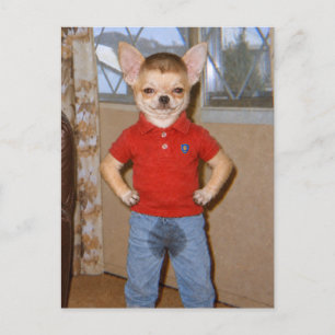 Chihuahua-Toilettenunfall-Sieg Postkarte