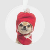 Chihuahua-tragender Weihnachtshut und -schal Ornament (Vorderseite)