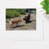 Chihuahua trifft Cat (Schreibtisch)