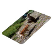 Chihuahua trifft Cat Magnet (Linke Seite)