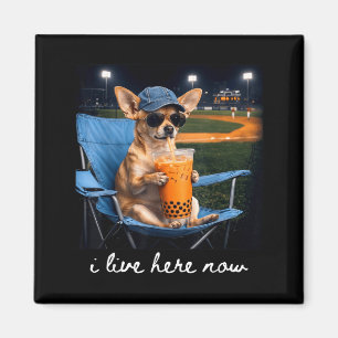 Chihuahua trinkt Eiskaffee Baseballfeld live Magnet