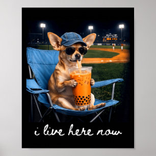 Chihuahua trinkt Eiskaffee Baseballfeld live Poster