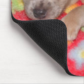 Chihuahua-Umarmungen Mousepad (Ecke)