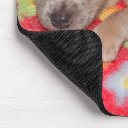 Chihuahua-Umarmungen Mousepad (Ecke)