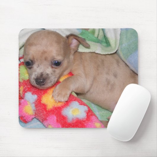 Chihuahua-Umarmungen Mousepad (Mit Mouse)