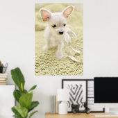 Chihuahua und Malteser Welpe Poster (Heimbüro)