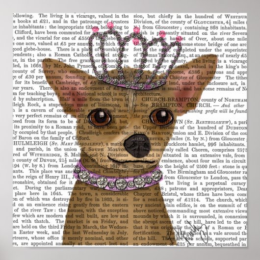 Chihuahua und Tiara Poster (Vorne)