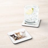 Chihuahua Untersetzer (Rechte Seite)