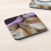 Chihuahua Untersetzer (Linke Seite)