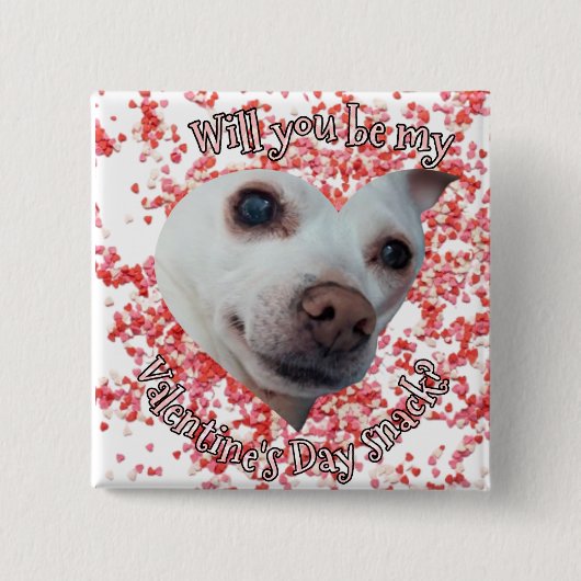 Chihuahua-Valentinstag Button (Vorderseite)