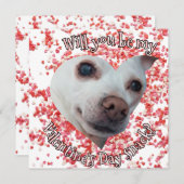 Chihuahua Valentinstag Ferienkarte Feiertagskarte (Vorne/Hinten)
