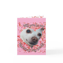 Chihuahua Valentinstag gefaltete Festtagskarte