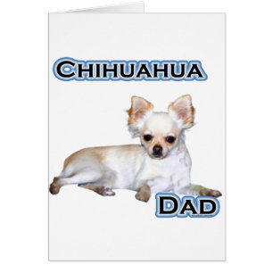 Chihuahua-Vater 4