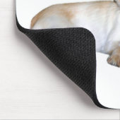 Chihuahua-Vater 4 Mousepad (Ecke)